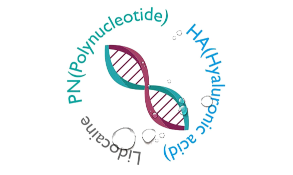 PN và PDRN là gì? Sự khác biệt chính giữa PN và PDRN